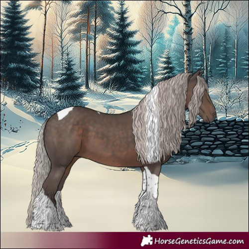 Horse Color:Silver Black Tobiano 