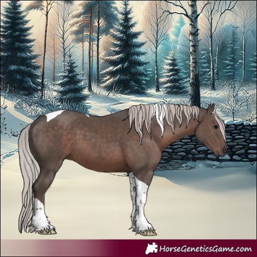 Horse Color:Silver Black Tobiano 