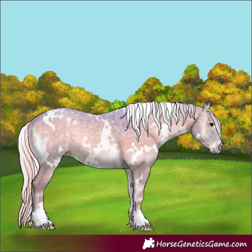Horse Color:Watercolor White Spotted Silver Blue Onyx Ice 