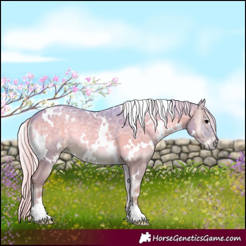 Horse Color:Watercolor White Spotted Silver Blue Onyx Ice 