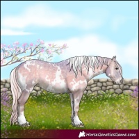 Horse Color:Watercolor White Spotted Silver Blue Onyx Ice
