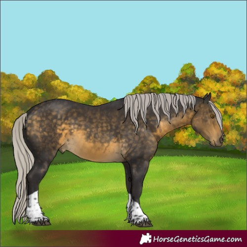 Horse Color:Silver Buckskin Tobiano 