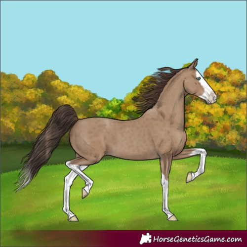 Horse Color:Classic Champagne Splash 