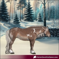 Horse Color:White Spotted Silver Black Tobiano Rabicano 