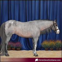 Horse Color:Brown Roan Sabino Appaloosa Rabicano
