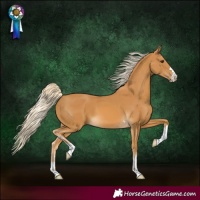 Horse Color:Palomino