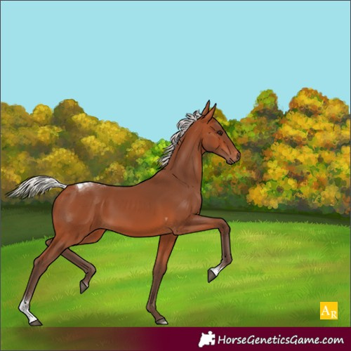 Horse Color:Silver Bay Tobiano