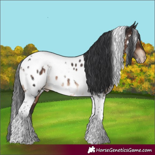 Horse Color:White Spotted Brown Tobiano Appaloosa Rabicano 