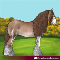 Horse Color:White Spotted Brown Pearl Rabicano