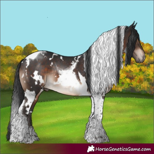 Horse Color:White Spotted Brown Tobiano Rabicano