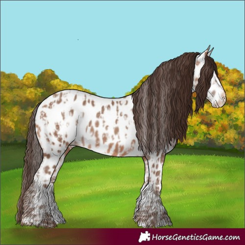 Horse Color:Amber Champagne Near Leopard  and Amber Champagne Near Leopard 