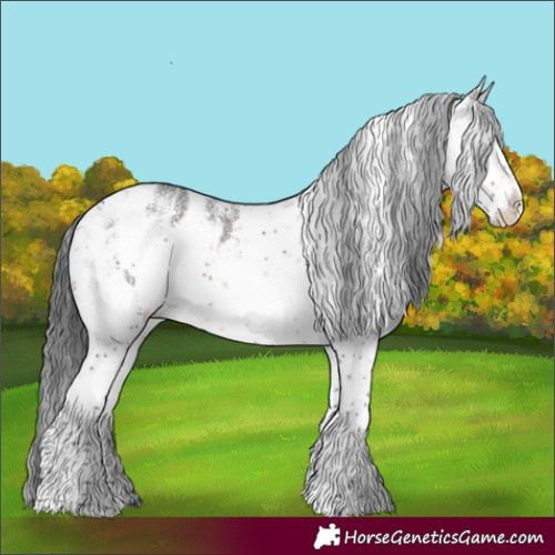 Horse Color:White Spotted Brown Sabino Appaloosa Rabicano