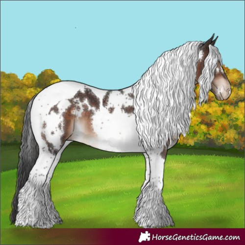Horse Color:White Spotted Brown Tobiano Appaloosa 
