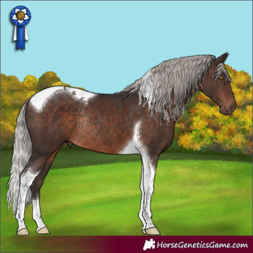 Horse Color:Silver Brown Tobiano Rabicano 