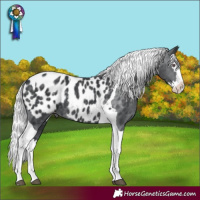 Horse Color:Silver Black Chinchilla Splash Tobiano Near Leopard 