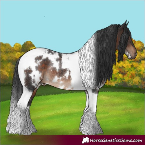 Horse Color:White Spotted Brown Tobiano Rabicano 