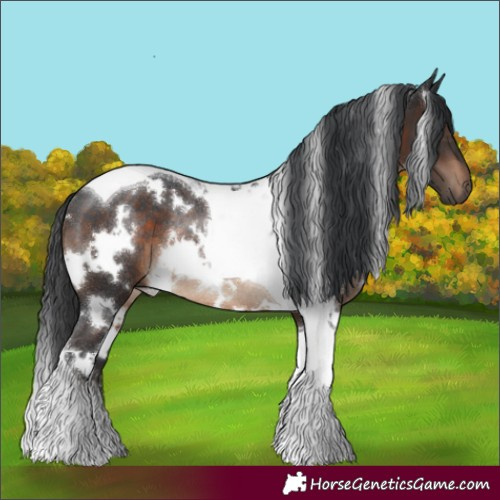 Horse Color:White Spotted Brown Tobiano Rabicano 