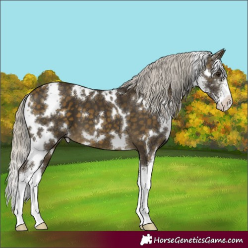 Horse Color:White Spotted Silver Buckskin Sabino