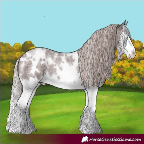 Horse Color:White Spotted Chocolate Silver Brown Roan Splash 