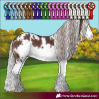 Horse Color:White Spotted Chocolate Silver Brown Splash