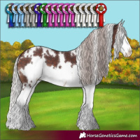 Horse Color:White Spotted Chocolate Silver Brown Splash