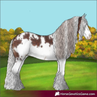 Horse Color:White Spotted Chocolate Silver Brown Splash