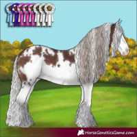 Horse Color:White Spotted Chocolate Silver Brown Splash 