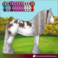 Horse Color:White Spotted Chocolate Silver Brown Splash 