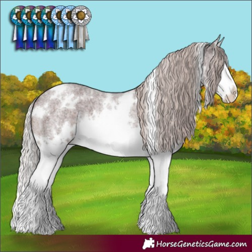 Horse Color:White Spotted Chocolate Silver Brown Roan Splash 