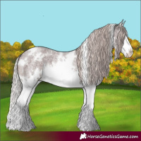 Horse Color:White Spotted Chocolate Silver Brown Roan Splash