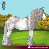 Horse Color:White Spotted Chocolate Silver Brown Roan Splash