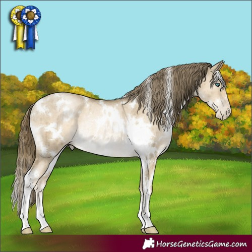 Horse Color:White Spotted Smoky Grullo Pearl Rabicano Brindle 
