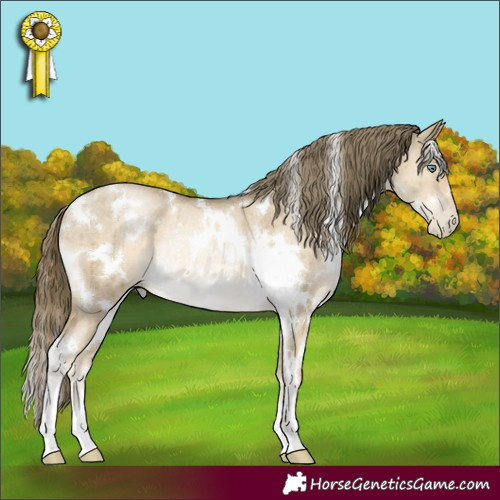 Horse Color:White Spotted Smoky Grullo Pearl Rabicano Brindle 