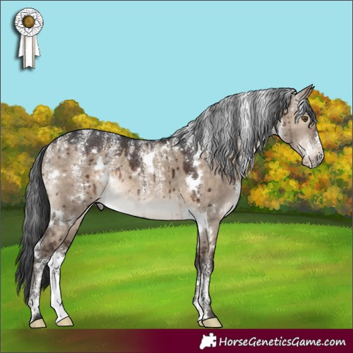 Horse Color:Powder White White Spotted Brown Dun Rabicano Brindle 