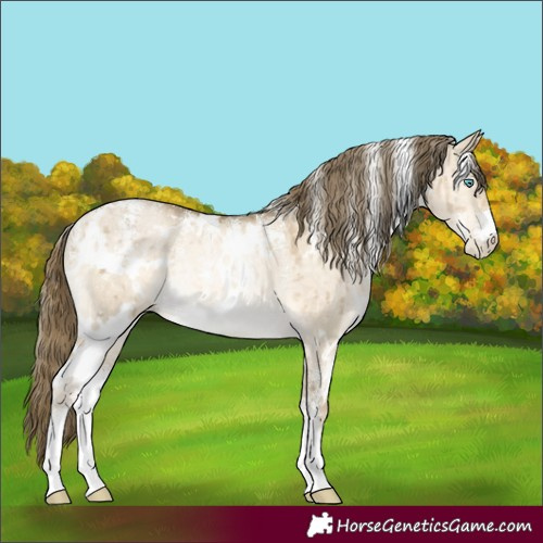 Horse Color:Powder White White Spotted Buckskin Pearl Dun Rabicano Brindle 