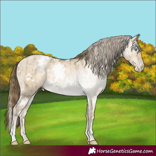 Horse Color:White Spotted Smoky Grullo Pearl Rabicano Brindle 