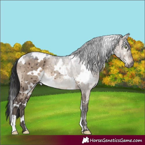 Horse Color:White Spotted Brown Dun Rabicano Brindle 
