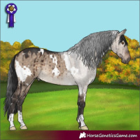 Horse Color:White Spotted Brown Dun Rabicano Brindle 