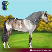 Horse Color:White Spotted Brown Dun Rabicano Brindle 