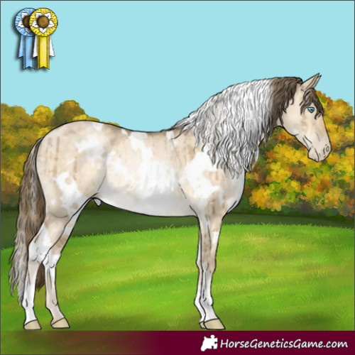 Horse Color:White Spotted Buckskin Pearl Dun Rabicano Brindle