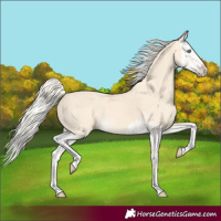 Horse Color:Cremello Splash  and Cremello Splash 