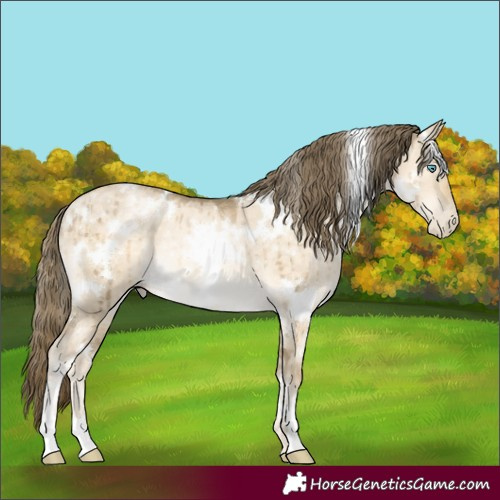 Horse Color:White Spotted Buckskin Pearl Dun Rabicano Brindle 