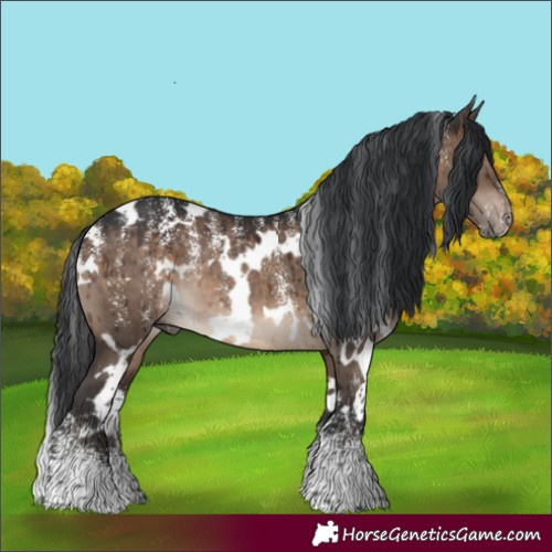 Horse Color:Powder White White Spotted Brown Dun Rabicano Brindle 