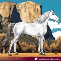 Horse Color:Bay Sabino 