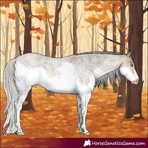 Horse Color:Silver Buckskin Roan Dun Splash 