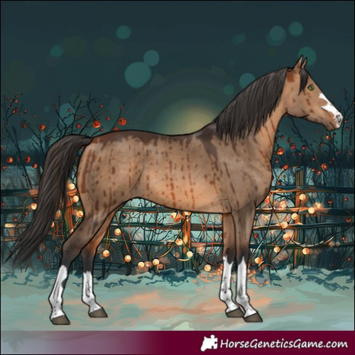 Horse Color:Bay Dun Rabicano Brindle 