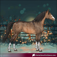 Horse Color:Bay Dun Rabicano Brindle 
