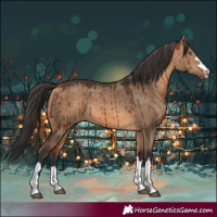 Horse Color:Bay Dun Rabicano Brindle