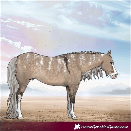 Horse Color:Powder White Silver Brown Dun Rabicano