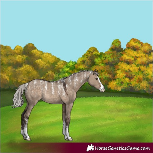 Horse Color:Powder White Silver Brown Dun Rabicano